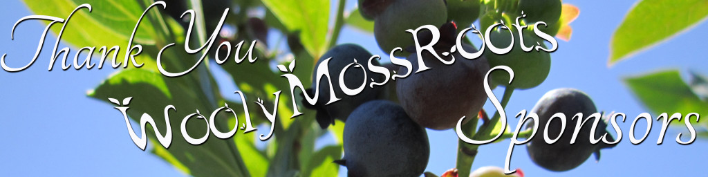 Thank You WoolyMossRoots Sponsors (Blueberries)
