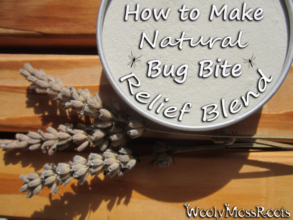 How To Make Natural Bug Bite Relief Blend.. on WoolyMossRoots Blog