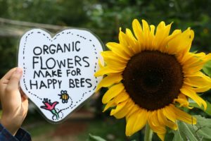 Why Grow Organic Flowers?